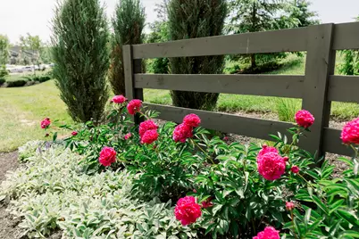 2528 Crosshill Drive, Crescent Springs, KY 41017 - Photo 14