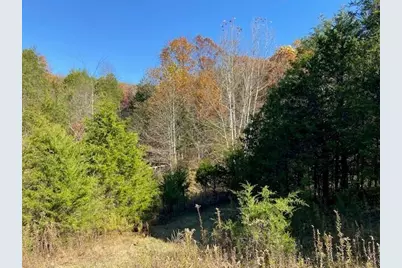 5420 Central Ridge Road, Mount Olivet, KY 41064 - Photo 6