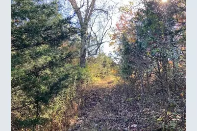 5420 Central Ridge Road, Mount Olivet, KY 41064 - Photo 10