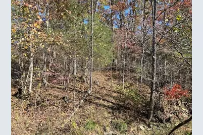 5420 Central Ridge Road, Mount Olivet, KY 41064 - Photo 12