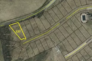 127 Belmont Ct, Williamstown, KY 41097 - Photo 44