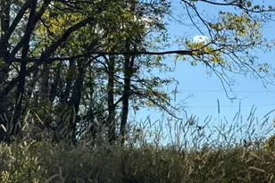 2951 Greenwood-Portland Rd, Demossville, KY 41033 - Photo 46