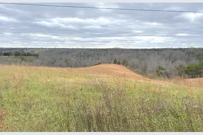 2951 Greenwood-Portland Road #C, Demossville, KY 41033 - Photo 6