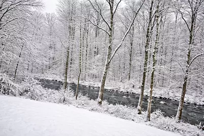 1632 Shady Cove Lane, Florence, KY 41042 - Photo 24