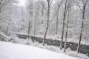 1632 Shady Cove Ln, Florence, KY 41042 - Photo 24