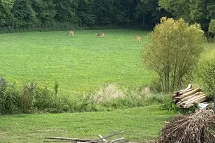 628 Ravens Creek Ln, Cynthiana, KY 41031 - Photo 44