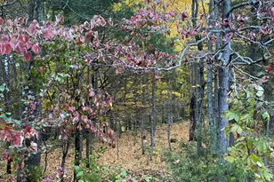 628 Ravens Creek Ln, Cynthiana, KY 41031 - Photo 42