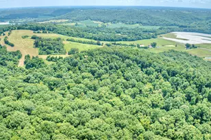3386 KY-467, Glencoe, KY 41046 - Photo 12
