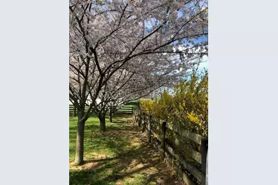 3869 Kentucky 435, Dover, KY 41034 - Photo 36