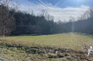 1078 Hamilton Rd, Brooksville, KY 41004 - Photo 42