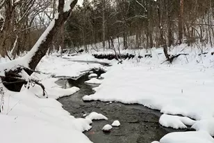 1078 Hamilton Rd, Brooksville, KY 41004 - Photo 48