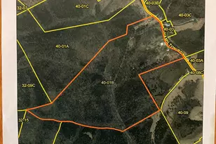 1078 Hamilton Rd, Brooksville, KY 41004 - Photo 50