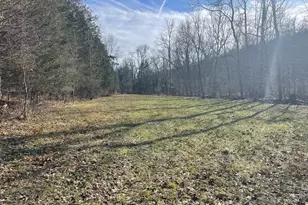1078 Hamilton Rd, Brooksville, KY 41004 - Photo 44