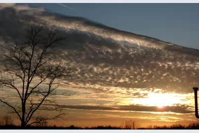 1078 Hamilton Road, Brooksville, KY 41004 - Photo 26