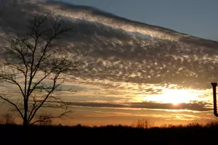 1078 Hamilton Rd, Brooksville, KY 41004 - Photo 26