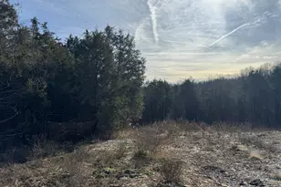 11175 New Columbus Rd, Owenton, KY 40359 - Photo 10