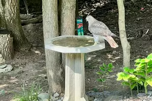 6645 Fairways Dr, Florence, KY 41042 - Photo 28