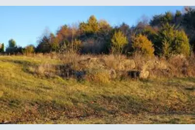 Lot C Links View Drive, Butler, KY 41006 - Photo 2