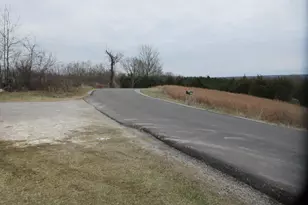 1819 Lenoxburg Rd, Falmouth, KY 41040 - Photo 4