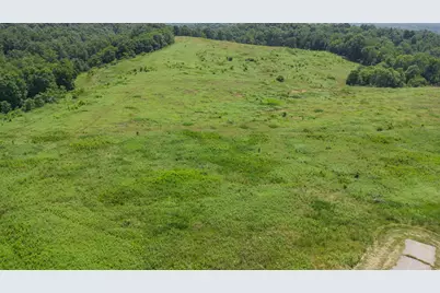 0 Ky 1039, Sparta, KY 41083 - Photo 4