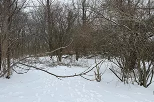 352 Rose Dr, Alexandria, KY 41001 - Photo 24