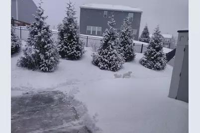 9980 Meadow Glen Drive, Independence, KY 41051 - Photo 40