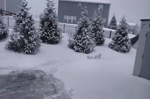 9980 Meadow Glen Dr, Independence, KY 41051 - Photo 40