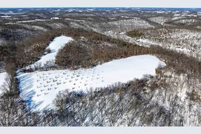 0 Lockmier 57+/- Acres Road, Augusta, KY 41002 - Photo 8