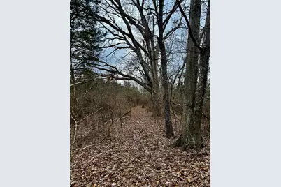 57 +/- Acres Conley Road, Morningview, KY 41063 - Photo 38