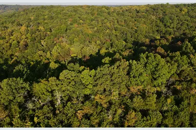 57 +/- Acres Conley Road, Morningview, KY 41063 - Photo 44