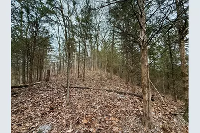 57 +/- Acres Conley Road, Morningview, KY 41063 - Photo 14