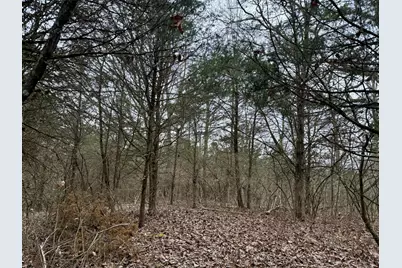 57 +/- Acres Conley Road, Morningview, KY 41063 - Photo 26