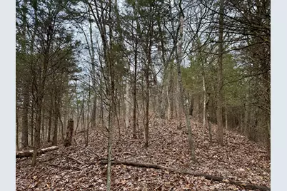 57 +/- Acres Conley Road, Morningview, KY 41063 - Photo 24