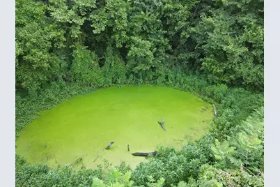 57 +/- Acres Conley Road, Morningview, KY 41063 - Photo 32