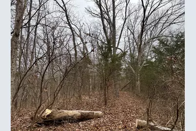 57 +/- Acres Conley Road, Morningview, KY 41063 - Photo 40