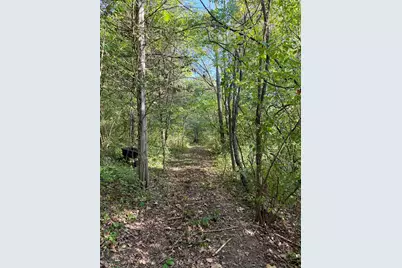 57 +/- Acres Conley Road, Morningview, KY 41063 - Photo 42