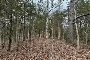 57 +/- Acres Conley Rd, Morningview, KY 41063 - Photo 1