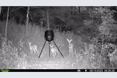 57 +/- Acres Conley Road, Morningview, KY 41063 - Photo 22