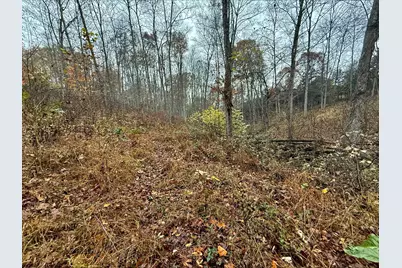 530 Rankin Mill Road, Falmouth, KY 41040 - Photo 6