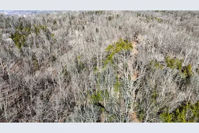 248 Sulphur Lick Road, Frankfort, KY 40601 - Photo 10