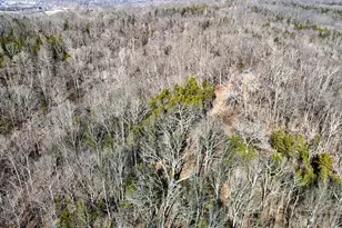 248 Sulphur Lick Rd, Frankfort, KY 40601 - Photo 14