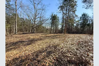 248 Sulphur Lick Road, Frankfort, KY 40601 - Photo 40