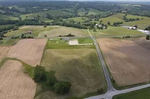 52 Bishop Ridge Rd, Falmouth, KY 41040 - Photo 1