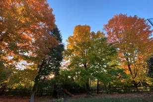 10282 Hempsteade Dr, Union, KY 41091 - Photo 48