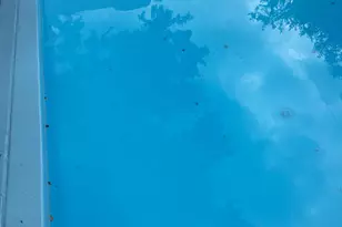 101 Christine Ct, Fort Wright, KY 41011 - Photo 24