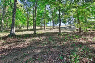 16120 Hwy 10 N Hwy N, Butler, KY 41006 - Photo 42