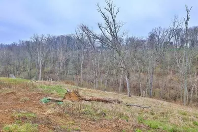 41 Floral Avenue, Fort Mitchell, KY 41017 - Photo 8