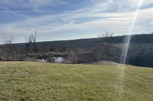 1823 Liberty Ridge Rd, Falmouth, KY 41040 - Photo 4