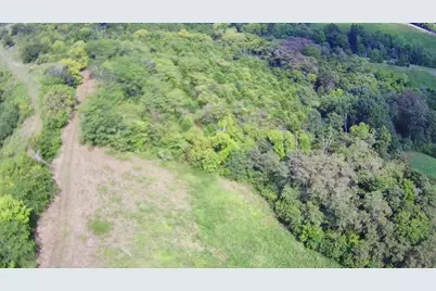 Tract 1 Delaney Road, Corinth, KY 41010 - Photo 2