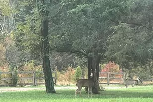 9031 E Main St, Alexandria, KY 41001 - Photo 32